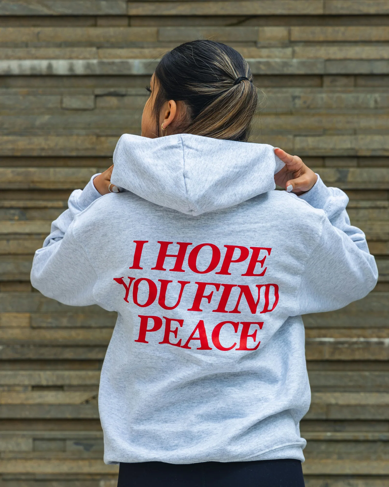 ASH Heavy Hoodie